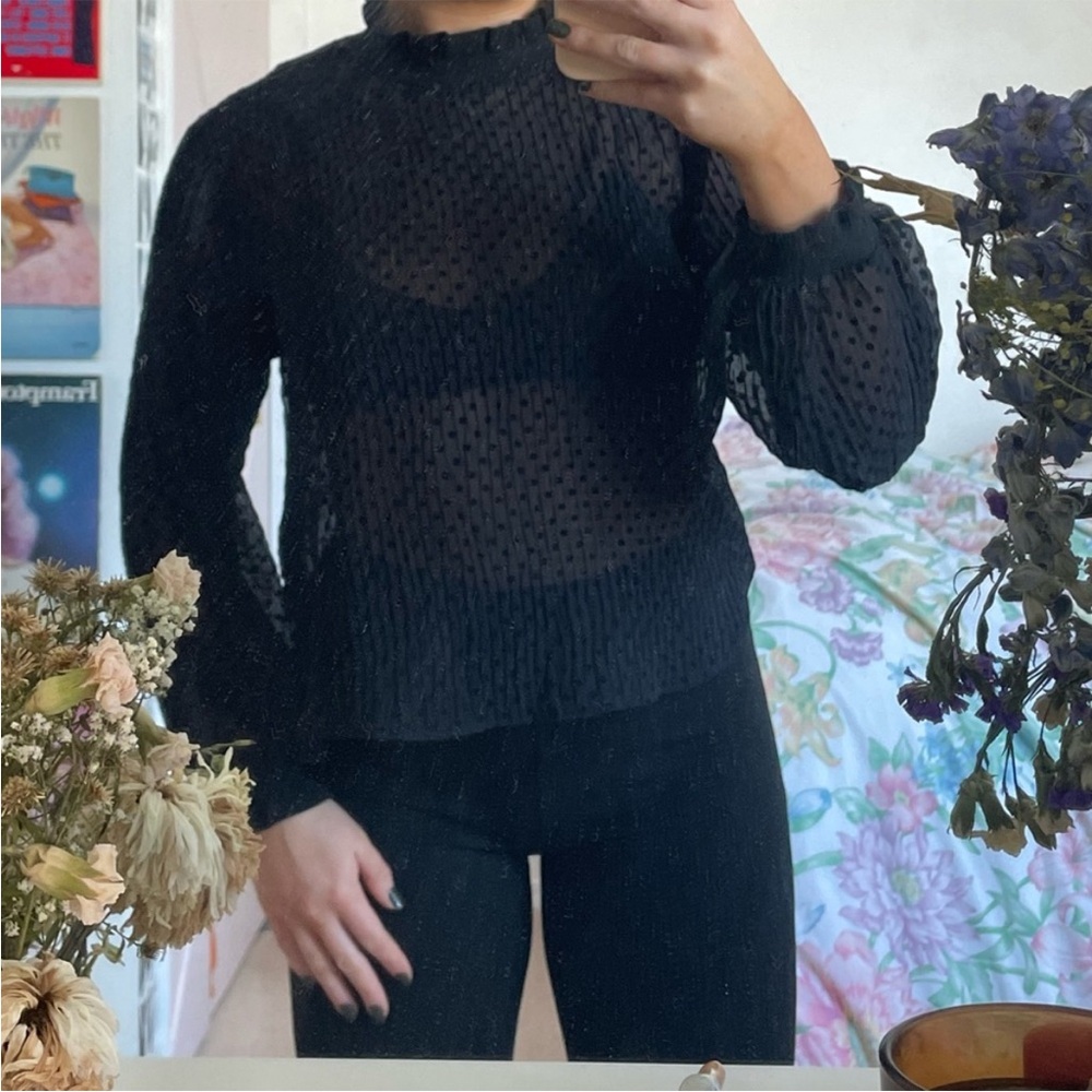 Zara Black Sheer Swiss Dot Long Sleeve Top